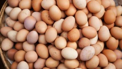 Co je třeba zvážit při výběru vejce?