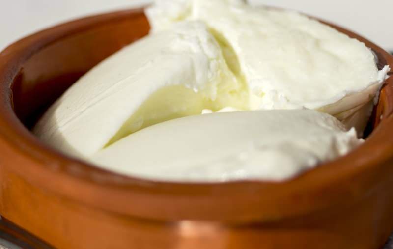 Jaké jsou výhody buvolího jogurtu? Jak si vyrobit jogurt z vodních buvolů a k čemu je?