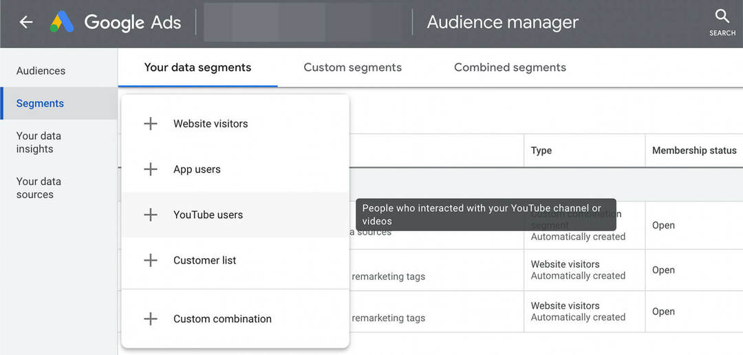 co-je-youtube-audience-targeting-google-ads-data-segments-example-2