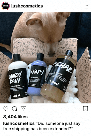 Instagram obchodní příspěvek se psem