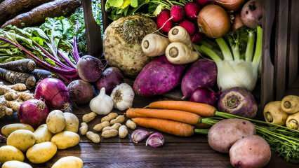 Co je kořenová zelenina? Jaké jsou výhody kořenové zeleniny?