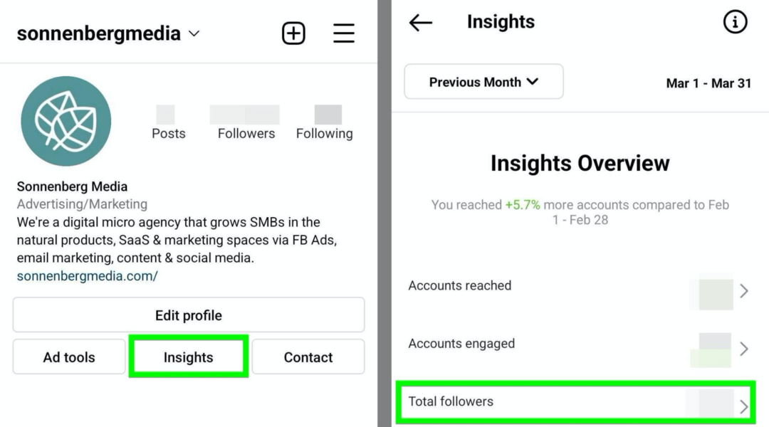 obrázek možnosti Instagram Insights Total Followers