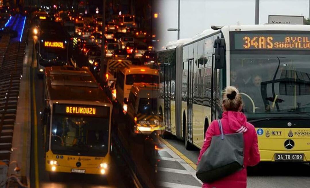 Jaké jsou zastávky Metrobusu a jak se jmenují? Kolik stojí jízdné Metrobus 2023?