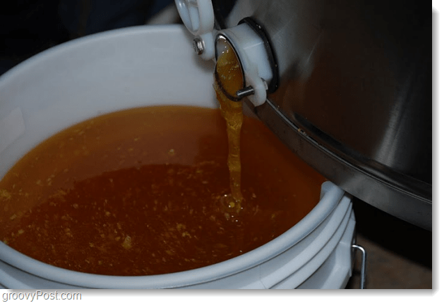 Google Honey v kbelíku