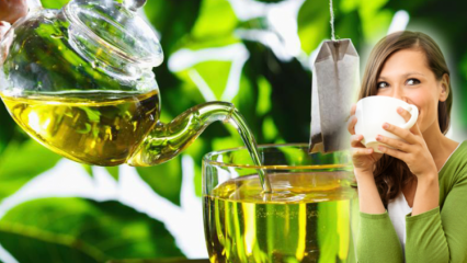 Mohou těhotné ženy pít zelený čaj? Výhody zeleného čaje a metoda hubnutí