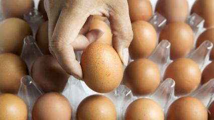 Praktické rady pro uchovávání čerstvých vajec